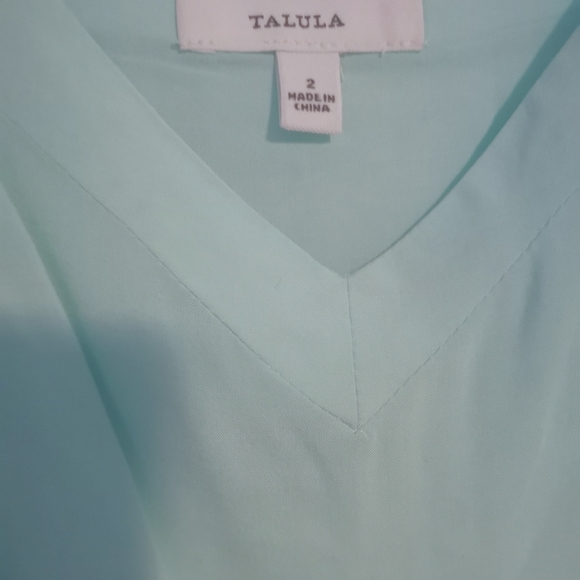 Aritzia Talula Lipinski mint dress - Picture 4 of 6
